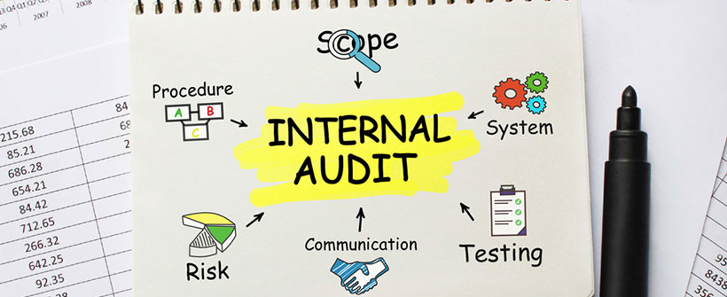 Internal Audit Performance Audit Program Evaluations