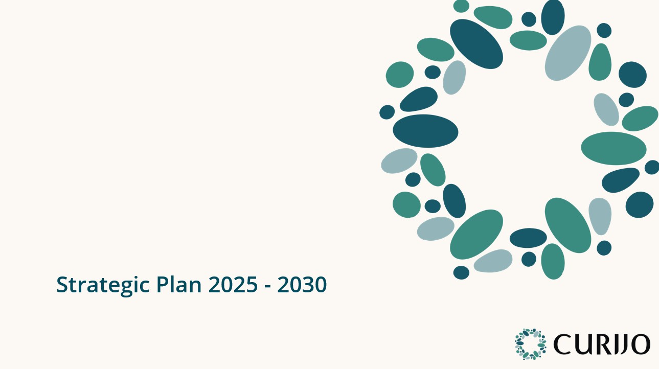 Curijo’s Strategic Plan