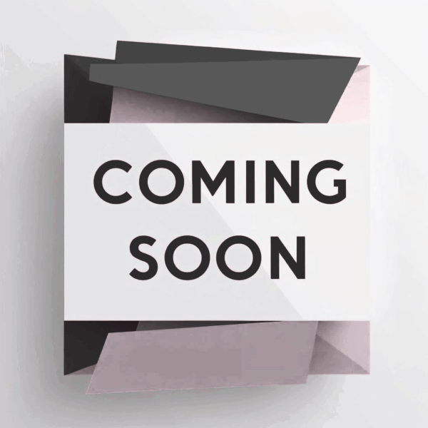 RISE Casework Program 12 Modules (10+ Seats)